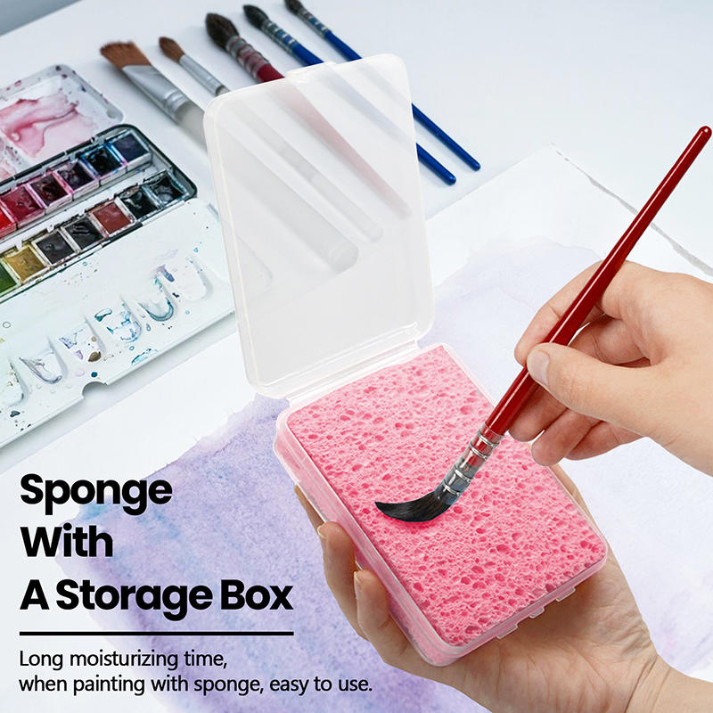 Boxed Watercolor Pigment Paint - Eco Sponge recension och pris